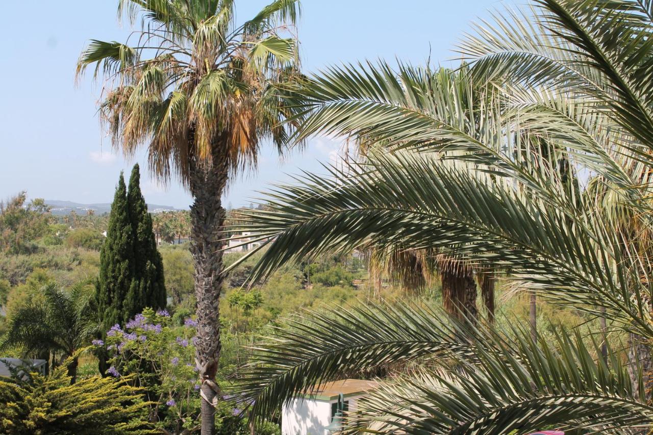 New View Sotogrande Marina - Jungla Del Loro Apartment Екстериор снимка